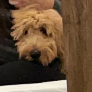 Meet your Posher, Yasmine